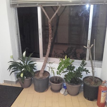 Jennys Apartment Превеза Екстериор снимка