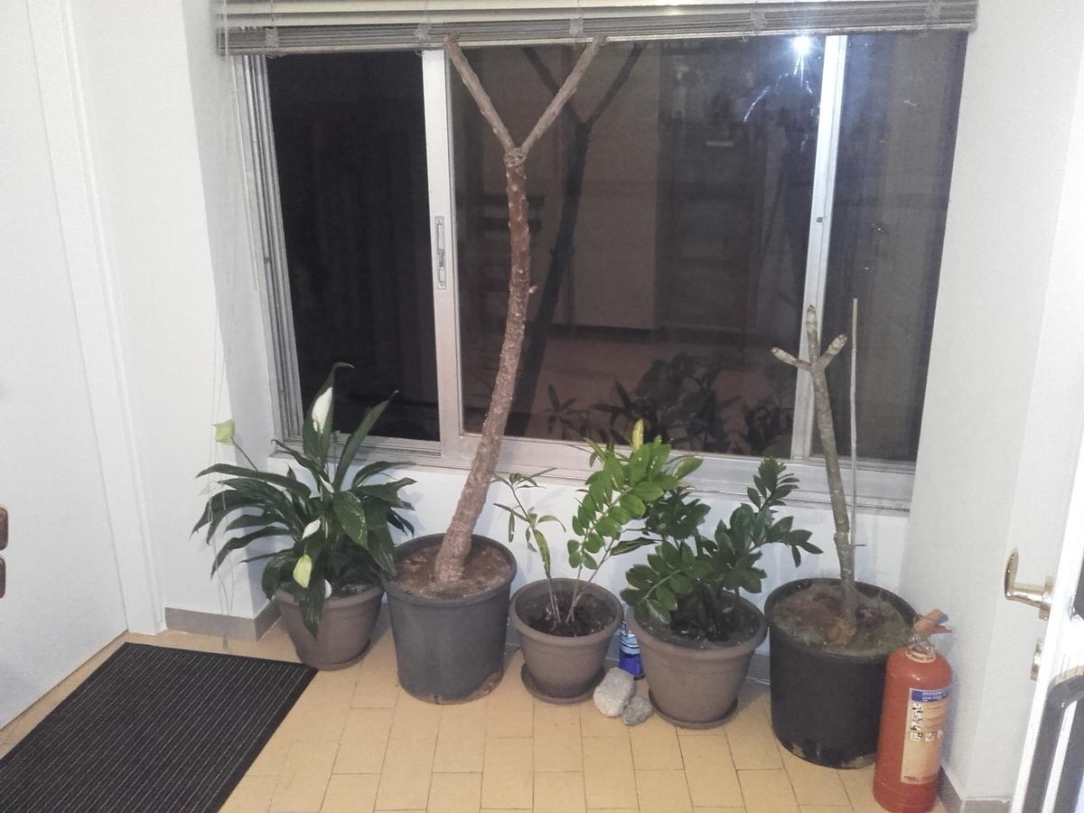 Jennys Apartment Превеза Екстериор снимка